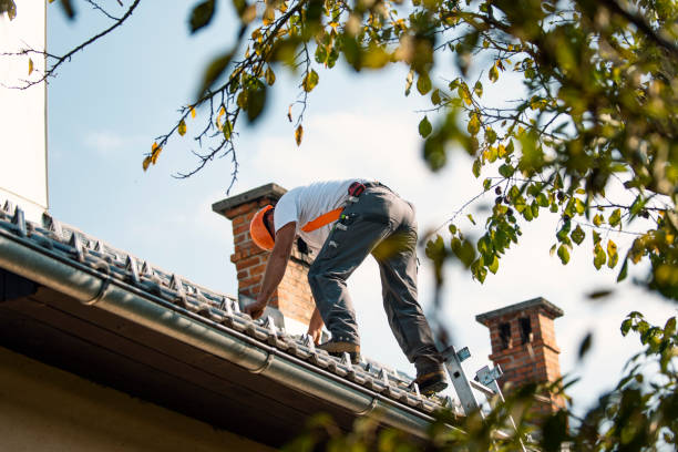 Best Best Roofing Contractors  in Scott Af, IL