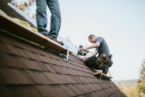 Best Roof Waterproofing Services  in Scott Af, IL